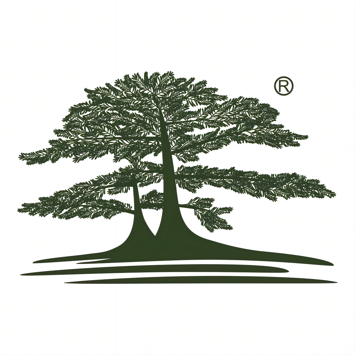 Injection Blow Moulding Machine Price In India Injection Blow Moulding Machine Price In India